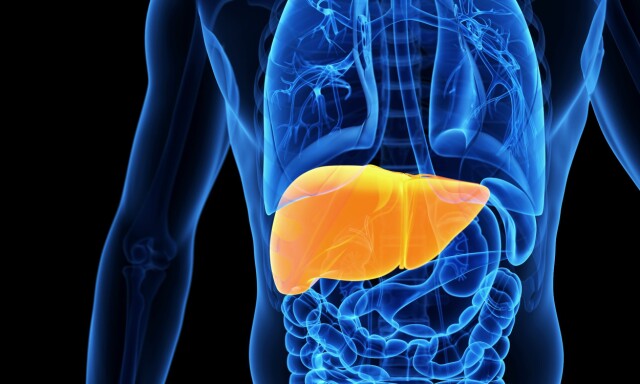 image: Hemokromatose: Har du for mye jern i kroppen?